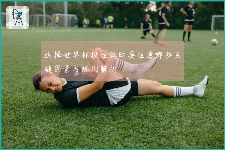 选择世界杯投注站时要注意哪些关键因素与规则解析