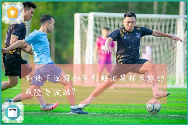 临场下注前如何判断世界杯买球的风险与波动？